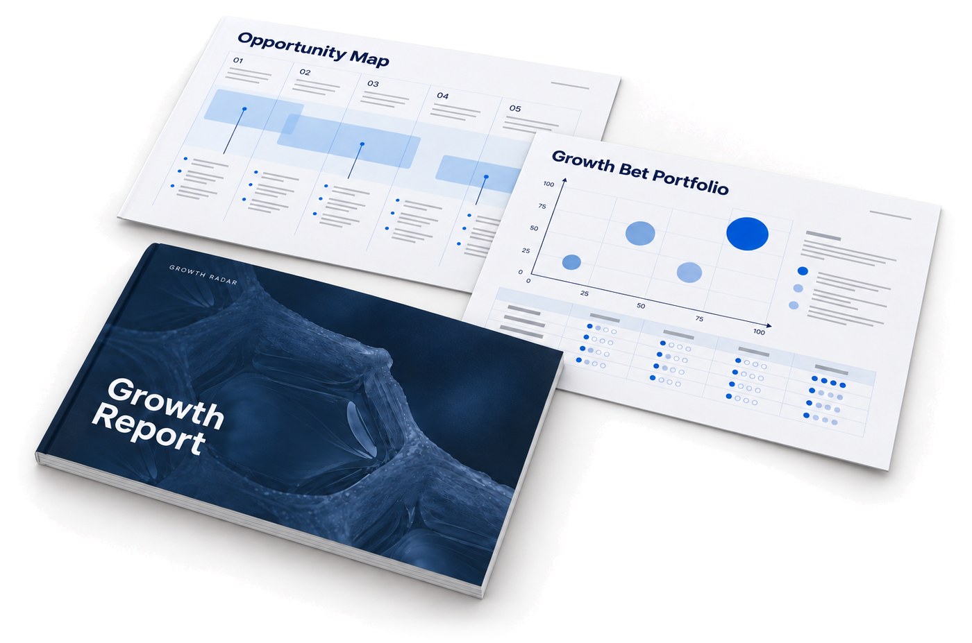 Growth Report aufgeschlagen: Opportunity Map, Growth Bet Portfolio, Recommendation und Validation Agenda